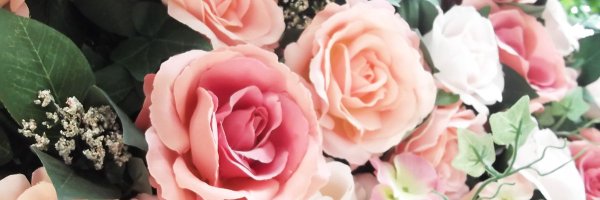 zommy727 Profile Banner