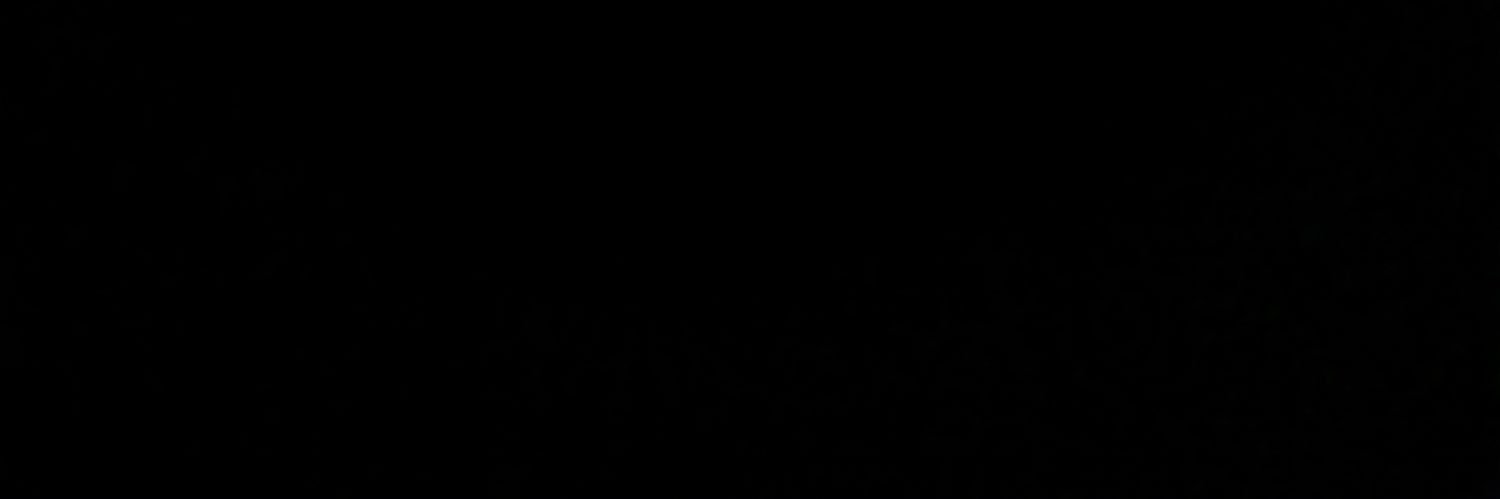 Nicole Huff banner