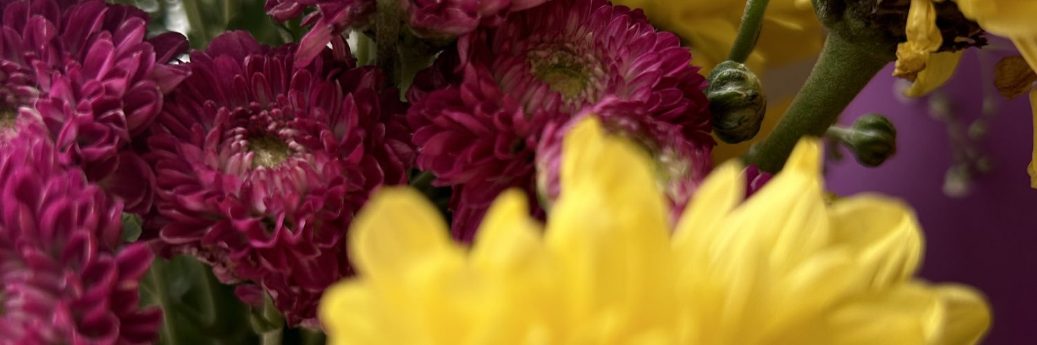 maarpizzi's profile banner image
