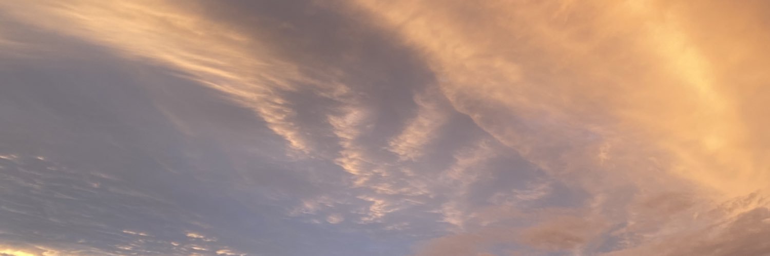 lizardbussy's profile banner image
