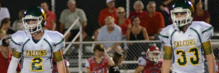 Dfault_lee's profile banner image