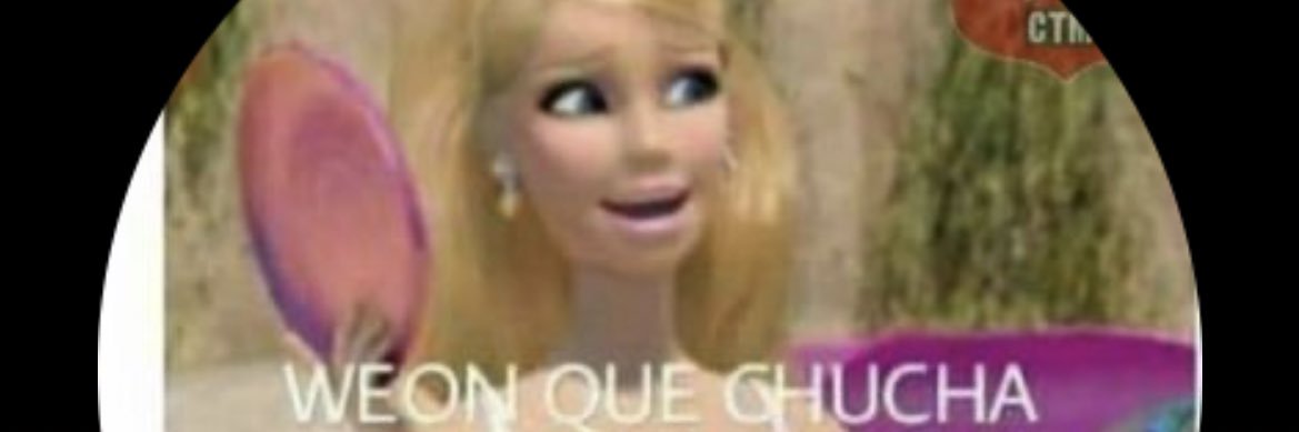 wnquechucha's profile banner image