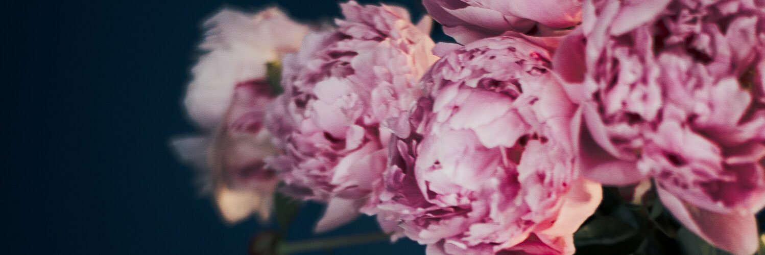 cmurrsss's profile banner image