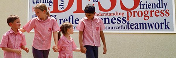 DESSinclusion Profile Banner