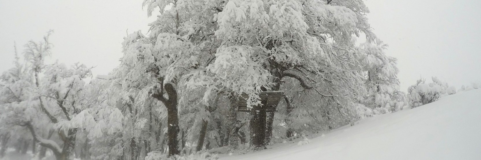 AnabellaaMaria's profile banner image