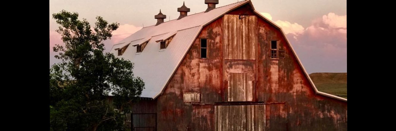 zmeyer87's profile banner image