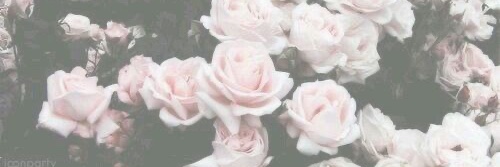MissMonie_'s profile banner image