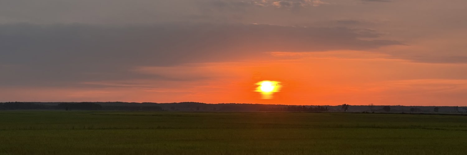 GoW799 banner