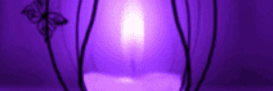 VelvetteDesignz banner