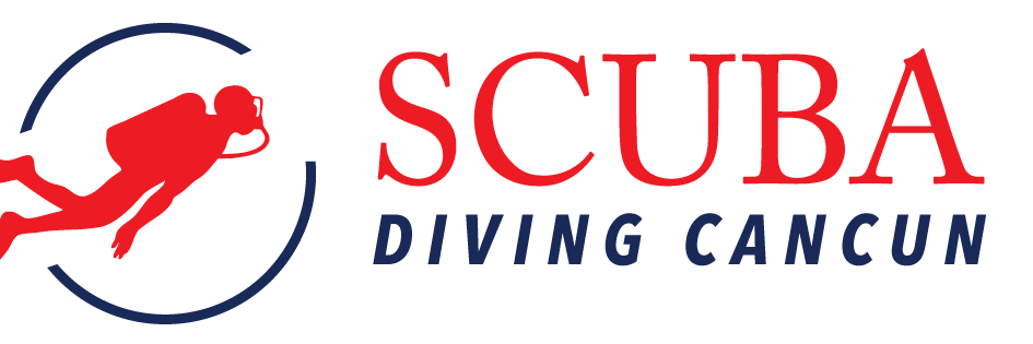 SDCancun's profile banner image