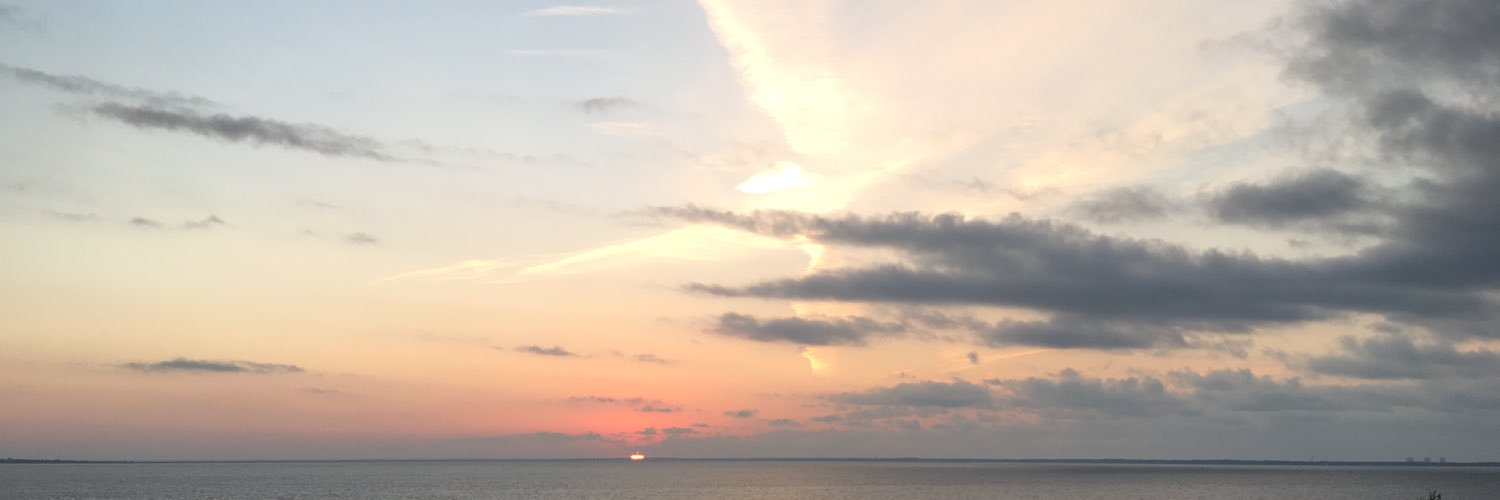 DavisMcConnico's profile banner image