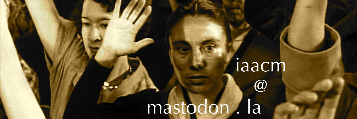 🕊️🇵🇸🌻 @iaacm.bsky.social banner