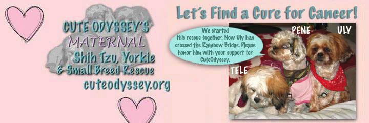 CUTEODYSSEY's profile banner image