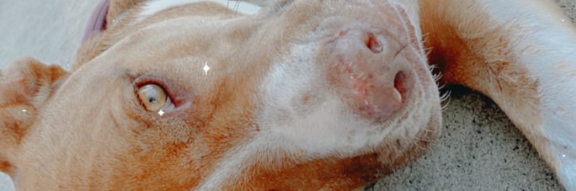 🧜🏼‍♀️ banner