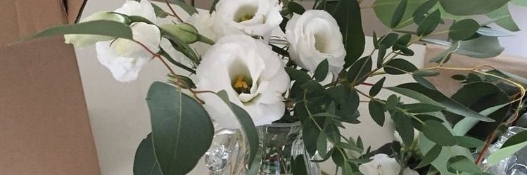xxmew_co's profile banner image