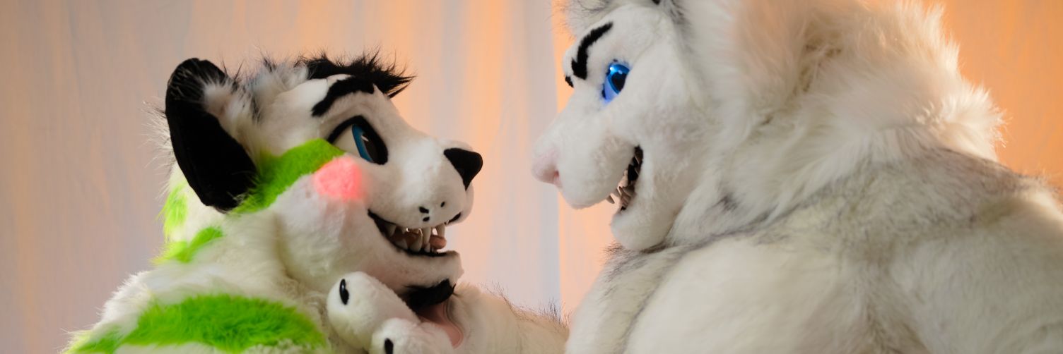 Fibre Kitty (see pinned) banner