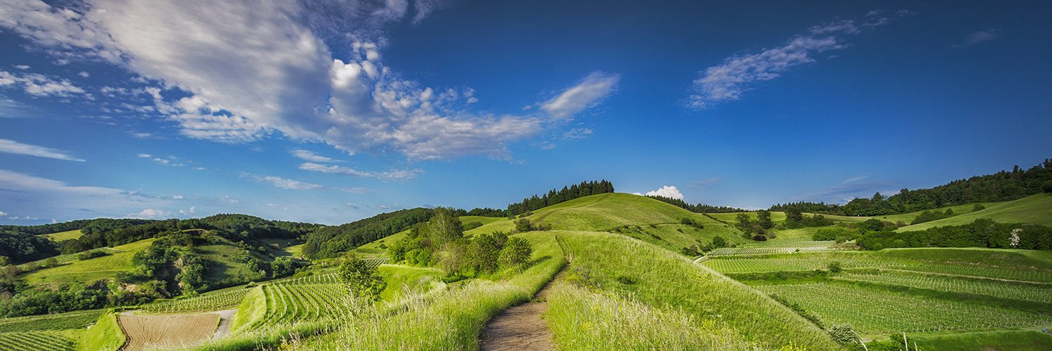 COMIFER Association banner