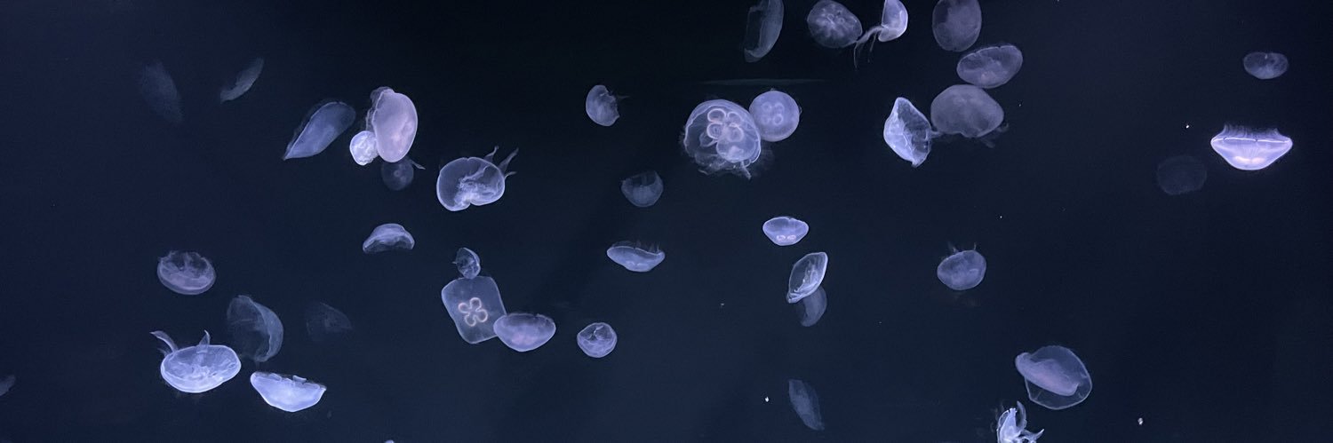 takedes00's profile banner image