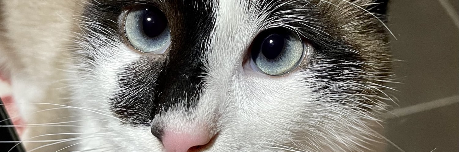 crisofiasm's profile banner image