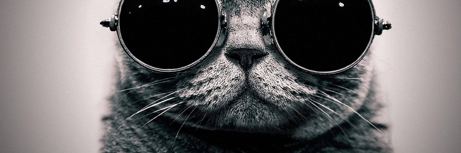 MrNesso's profile banner image