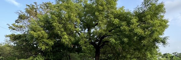 amarbarwe Profile Banner