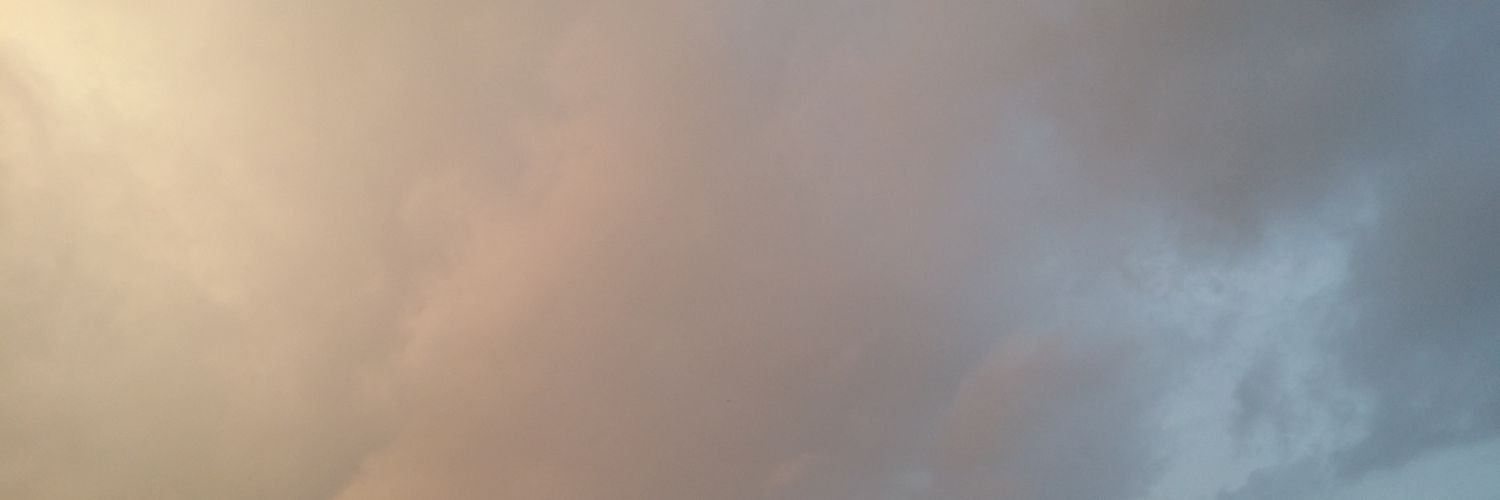 Flruyn's profile banner image