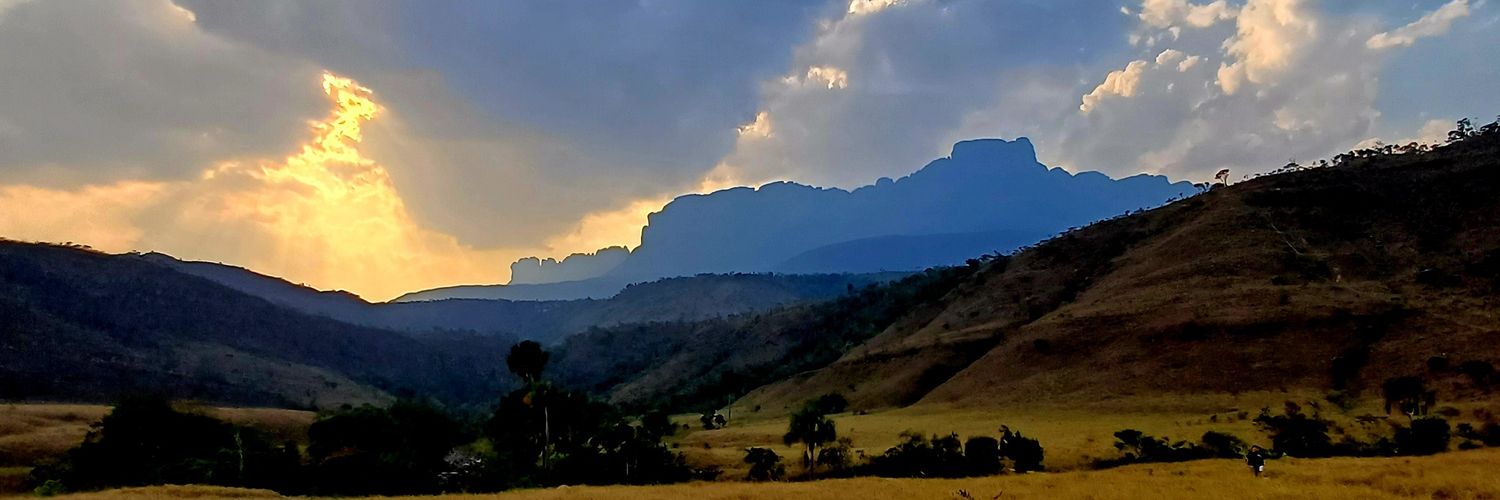 GuayabaVerde's profile banner image