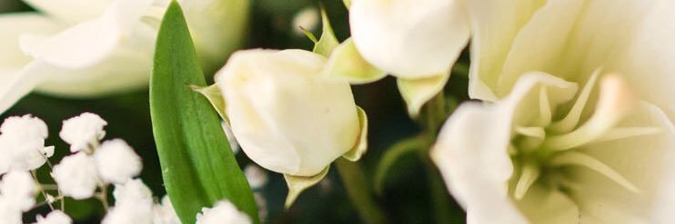 flutes815's profile banner image