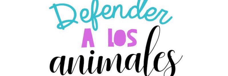 Adopta, No Compres banner