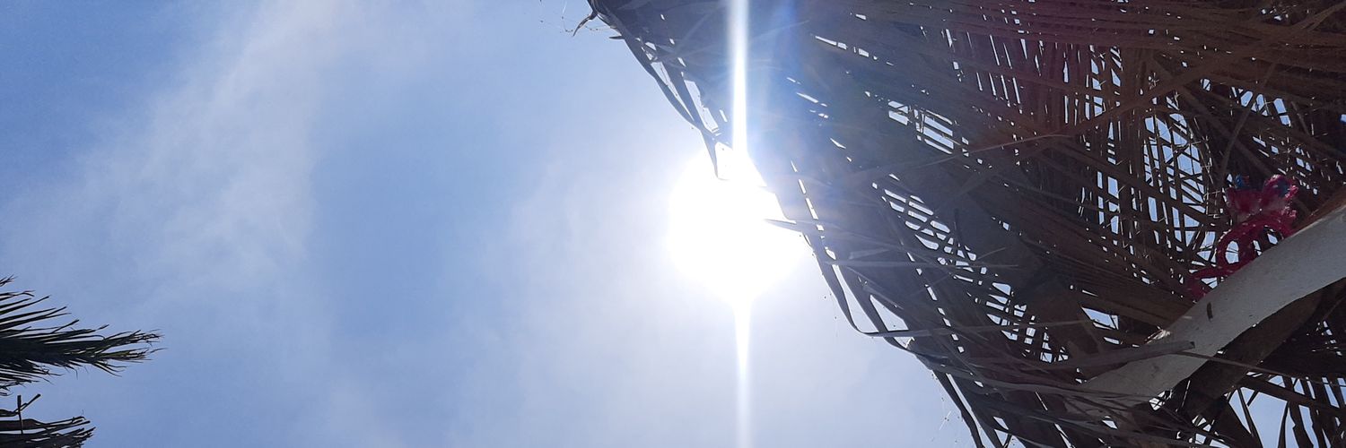zapris's profile banner image