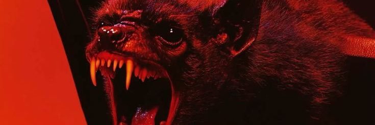 Alejandra 🌙 banner