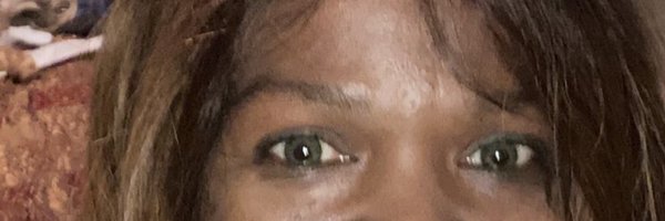 devzev Profile Banner