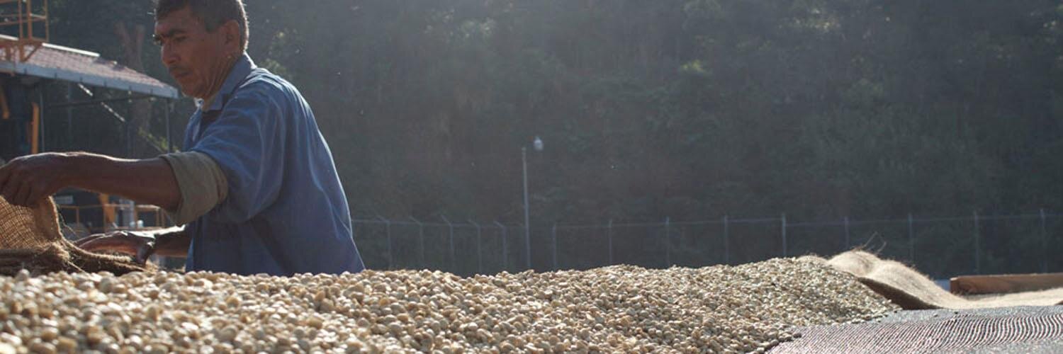 Tanager Coffee Co banner