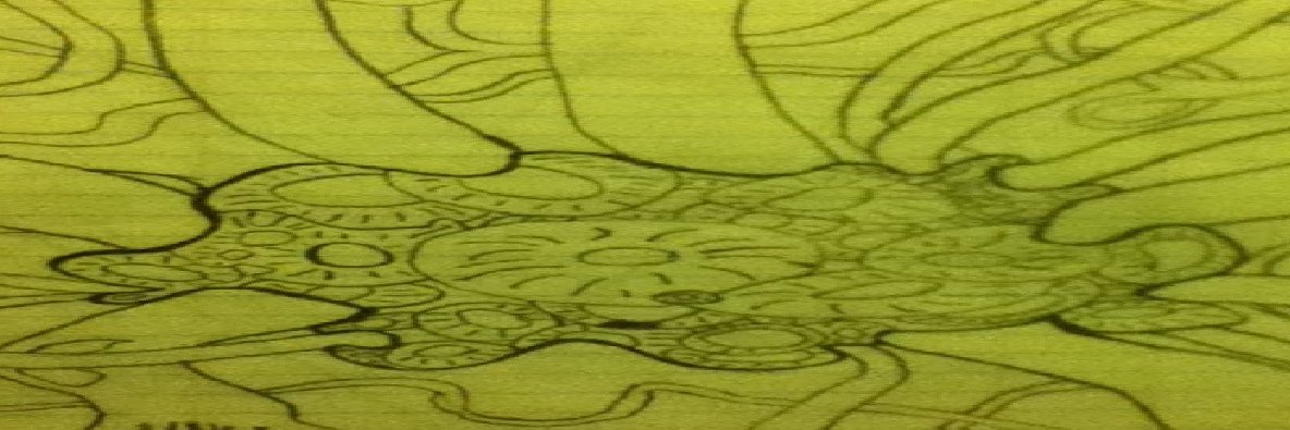 xasnly banner