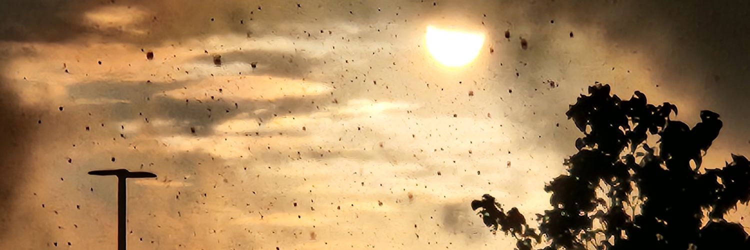 HoosierHothead's profile banner image