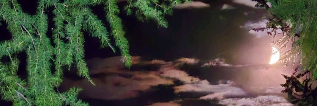 ажиглагч banner