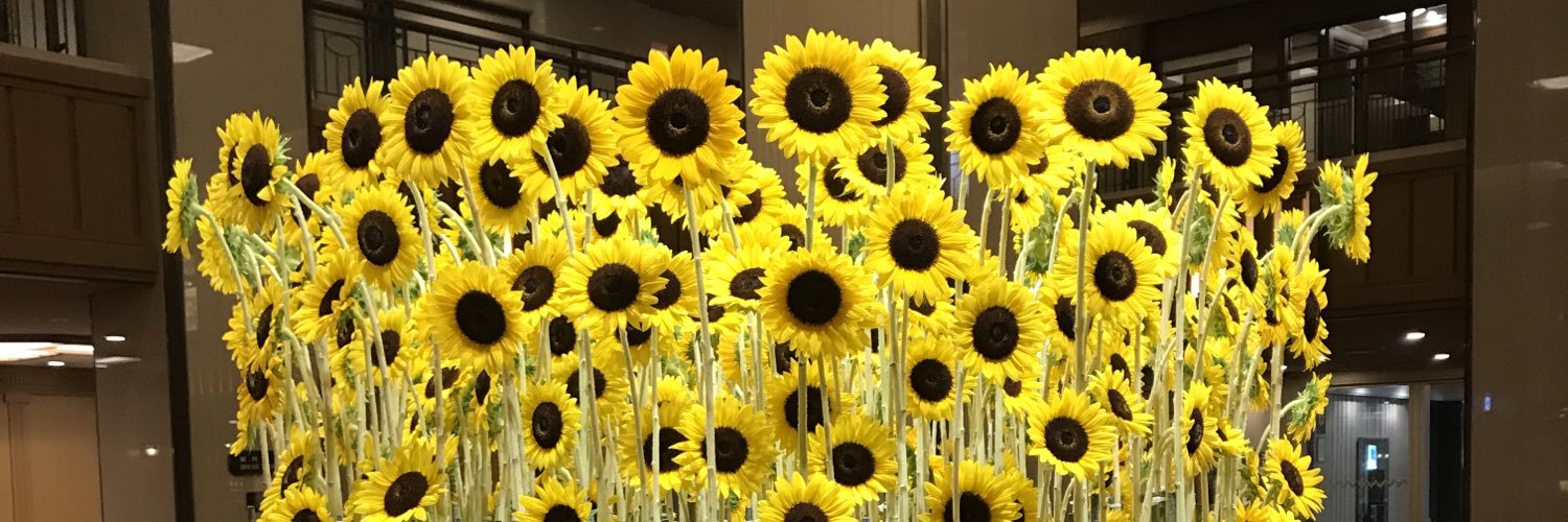 みるく✨美活垢 banner