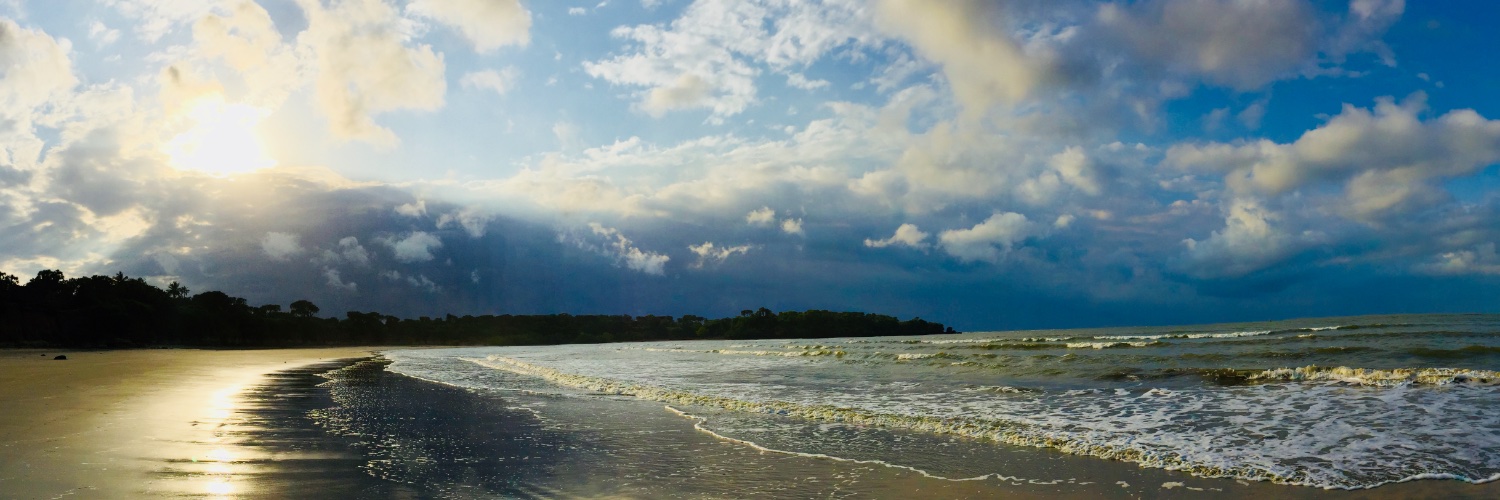 Mark Marchant banner