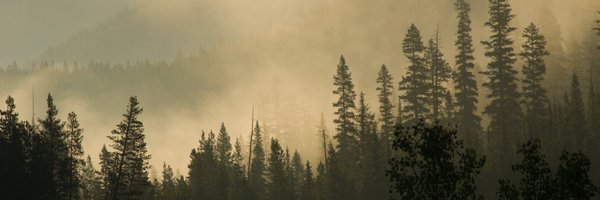 wildsight Profile Banner