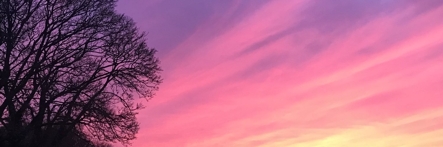 mearajack's profile banner image