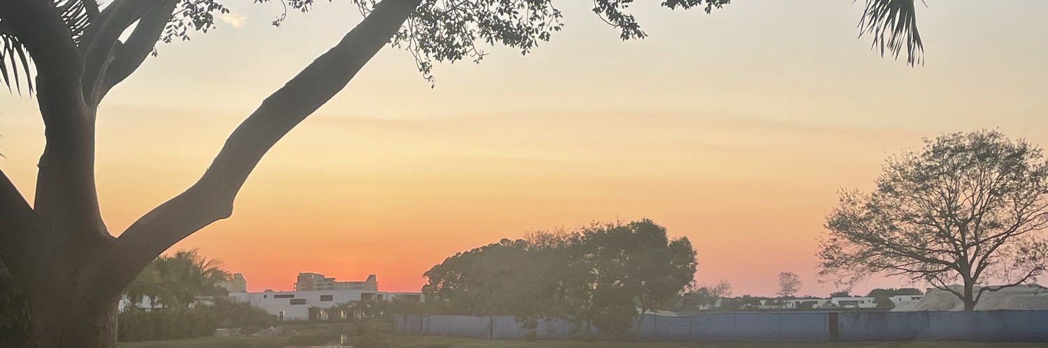 rosantolinez's profile banner image