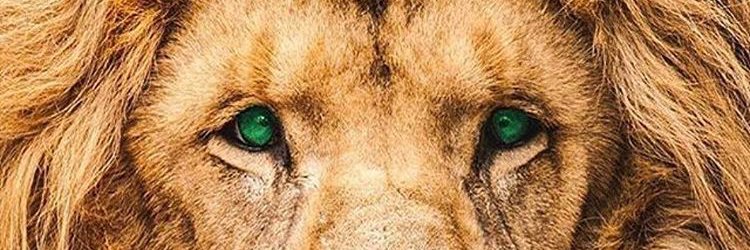 Mbana_za's profile banner image
