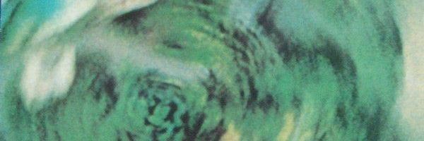 bella banner