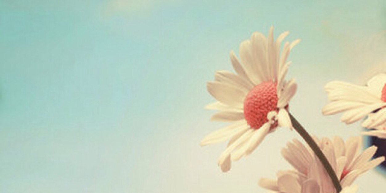 canTuanaFthy's profile banner image