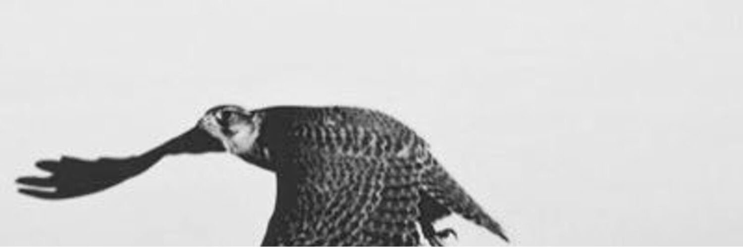 m7um's profile banner image