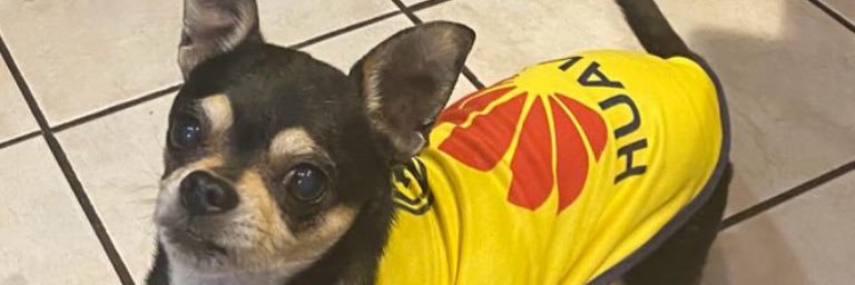 _irisloveee's profile banner image