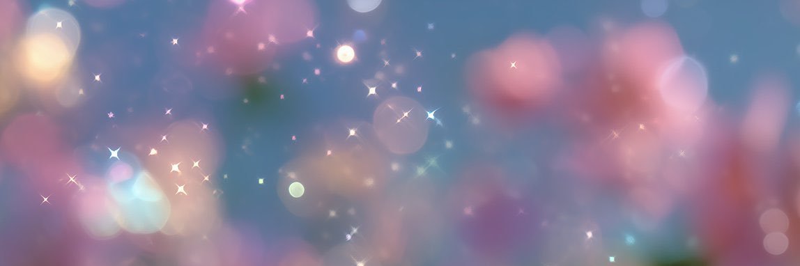 ERIKASILVA20's profile banner image
