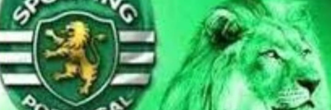 Ti4g061's profile banner image