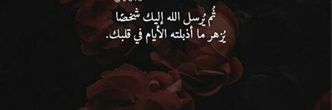 shatha684's profile banner image