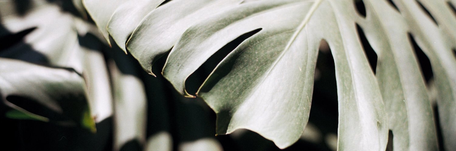 Ench___'s profile banner image
